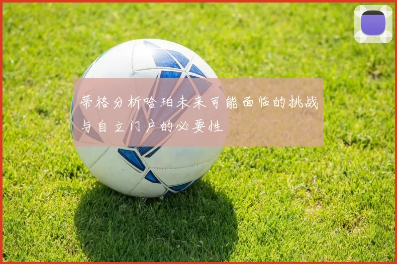 蒂格分析哈珀未来可能面临的挑战与自立门户的必要性