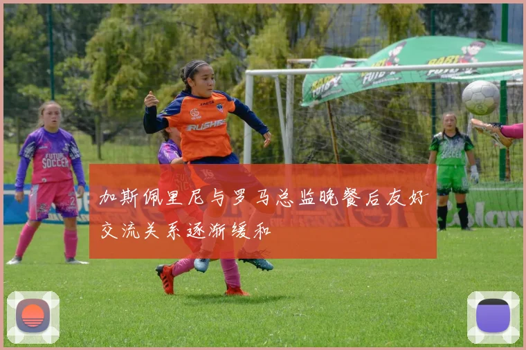 加斯佩里尼与罗马总监晚餐后友好交流关系逐渐缓和