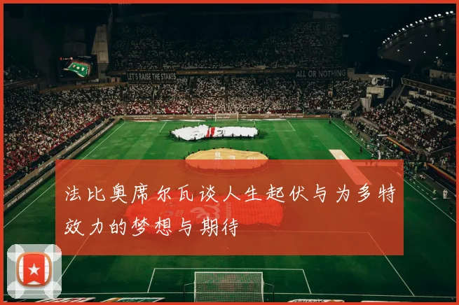 法比奥席尔瓦谈人生起伏与为多特效力的梦想与期待