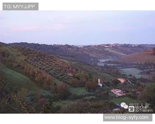 德天空报道罗马积极推进租借萨拉戈萨并附带买断选项交易计划